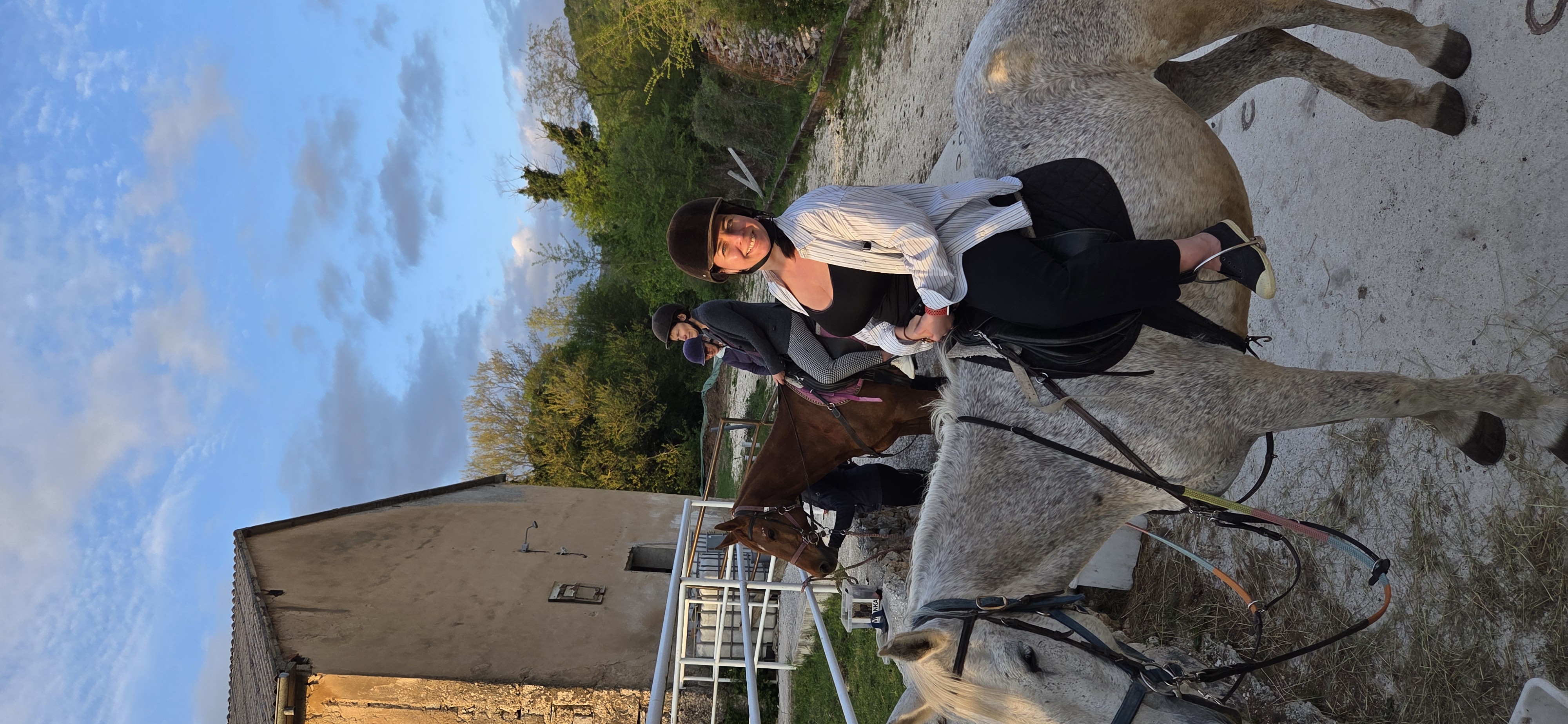 Horse session